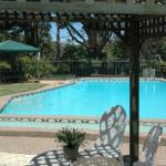The Tree Motel - Australian Directory 0