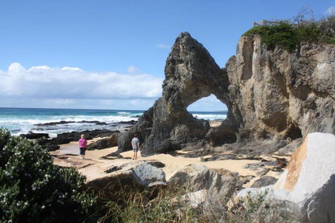 Narooma Motel - Australian Directory 4