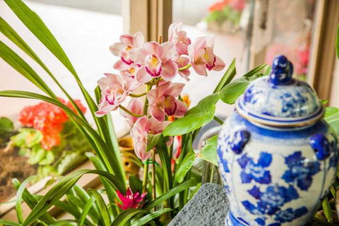 Kempsey Rose Motor Inn - Australian Directory 7