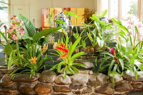 Kempsey Rose Motor Inn - Australian Directory 5