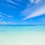 Hawks Nest Motel - Australian Directory 0