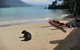 Turtle Reef Bed & Breakfast Cairns - thumb 3