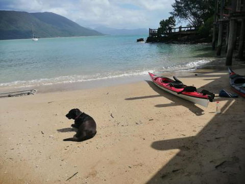 Turtle Reef Bed & Breakfast Cairns - Australian Directory 3