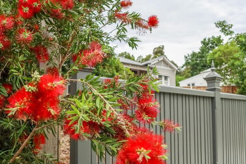 Vintage Charm On St. Leonards - Australian Directory 5