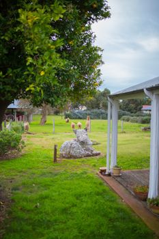 Davidsons Cottage - Australian Directory 5