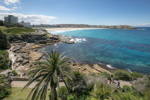 Ultimate Bondi Escape - Australian Directory 4