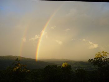 Misty Range - Australian Directory 2