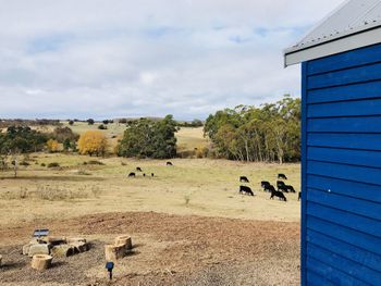 In2thewild Walden - Australian Directory 1