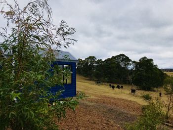In2thewild Walden - Australian Directory 4