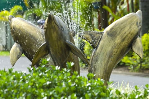 Cairns Coconut Holiday Resort - Australian Directory 1