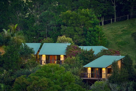 Dayboro Cottages & Llama Walks - Australian Directory 3