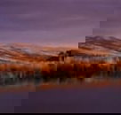 Wombat Hills Cottages - Australian Directory