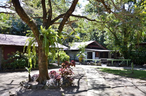 PKs Jungle Village - Hostel - Australian Directory 5