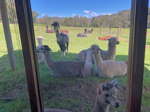 Valley Farm Vineyard Cottages - Australian Directory 2