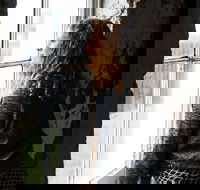 Cape Otway Lightstation - Australian Directory