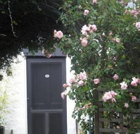 Ivy on Glenelg - Australian Directory