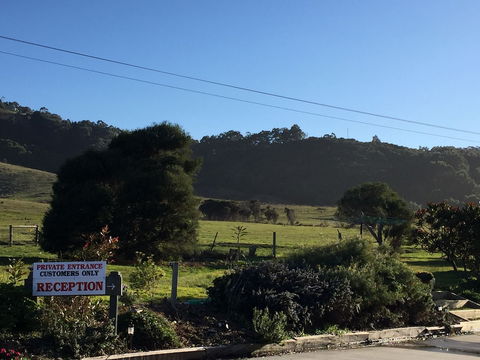 Skenes Creek Lodge Motel And Restaurant - Australian Directory 1