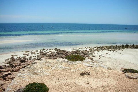 Amelia S Bed & Breakfast - Australian Directory 4