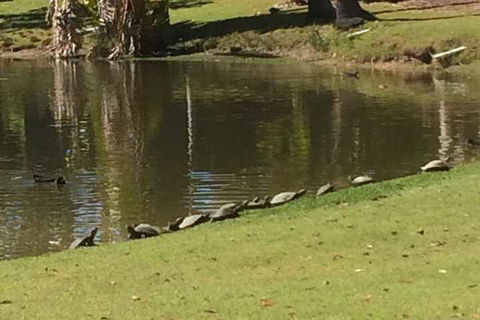 Sanctuary Lakes Fauna Retreat - Australian Directory 1
