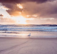 Blue Waters Motel - Australian Directory