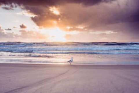Blue Waters Motel - Australian Directory 0