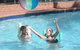 Grangewood Court - thumb 3