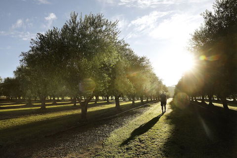 Adina Vineyard - Australian Directory 2