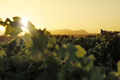 Adina Vineyard - Australian Directory 1