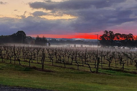 Adina Vineyard - Australian Directory 4