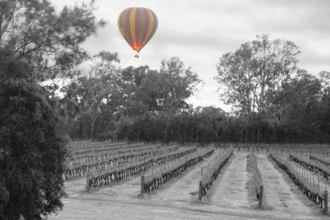 Adina Vineyard - Australian Directory 5