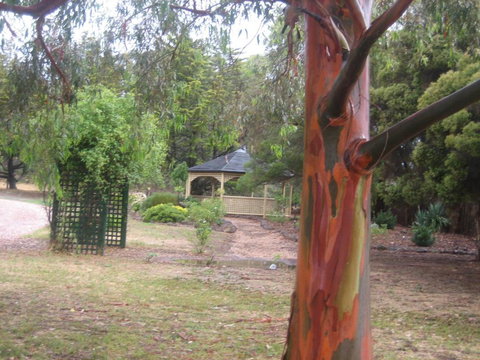 Golden Hills Motel - Australian Directory 6