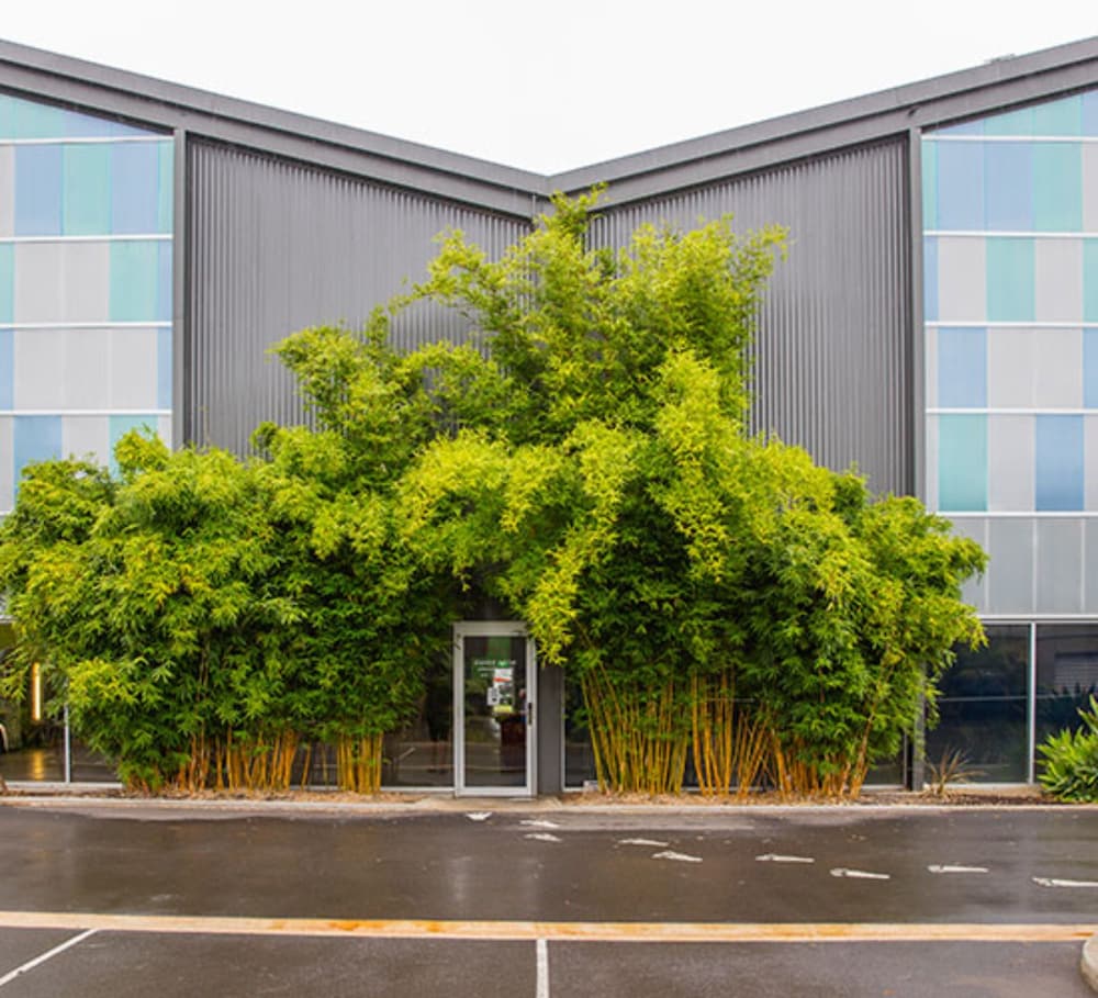 Australian Directory