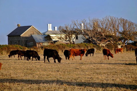 Cable Station Accommodation - Australian Directory 5