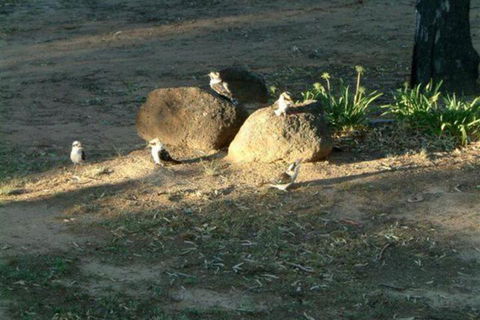 Riverview Motel Deniliquin - Australian Directory 2