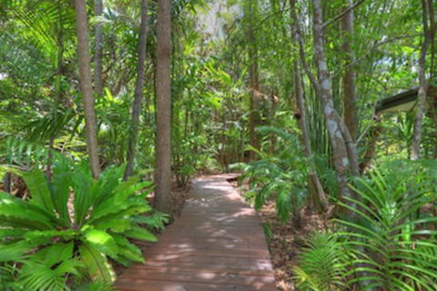 Montville Grove - Australian Directory 0