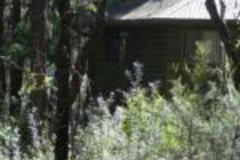 Twin Falls Bush Cottages - Australian Directory 0