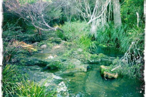 Twin Falls Bush Cottages - Australian Directory 2