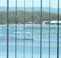 Montgomery Apartments - Australian Directory