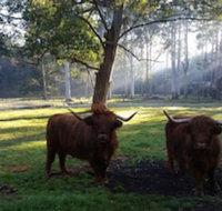 Dingley Dell - Australian Directory