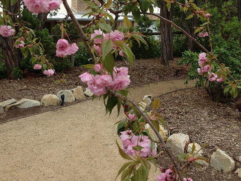 Silverleaf Cottage - Australian Directory 2