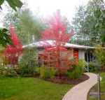 Dalrymples Guest Cottages - Australian Directory