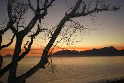 Daintree Village Hideaway - Australian Directory 3