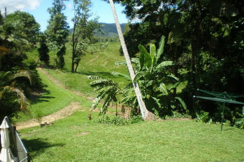 Daintree Village Hideaway - Australian Directory 5