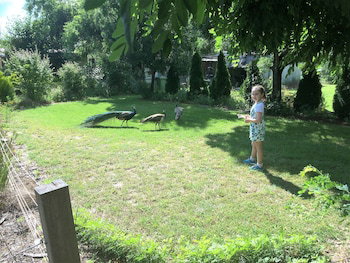 Eukey QLD Australian Directory