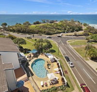 Pandanus Coolum Beach - Australian Directory