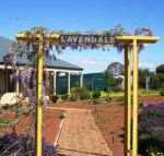 Lavendale Farmstay  Cottages York - Australian Directory