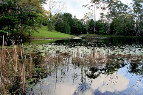 Montville Country Cabins - Australian Directory 2