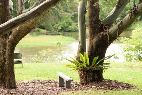McCarthy Lake House - Australian Directory 4