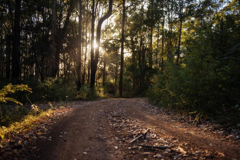 Mudstone Spa Retreat - Australian Directory 5