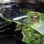 Mudstone Spa Retreat - Australian Directory 1